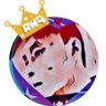 Profilbild von junjin zhangzhang