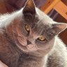 jian.w profil fotoğrafı
