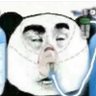 Jack Shiels's profile picture