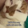 Masta V's profile picture