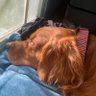 Profilbild von Francine