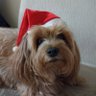 Profilbild von lucho