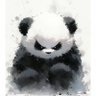 xdb7 的头像