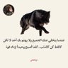 Tanbi Mohammad profil fotoğrafı