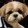 あ's profile picture