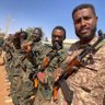 Profilbild von Idris Al-Bashir
