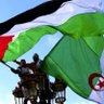 مصطفى بن محمد سعدو 的头像