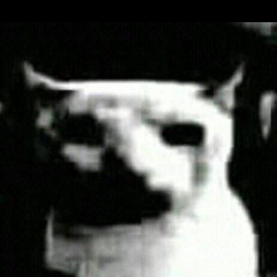 S's profile picture