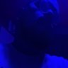ZANTETSUKEN's profile picture