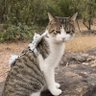StillObserver's profile picture