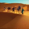 الصديق 的头像