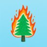wolvesboxscores's profile picture