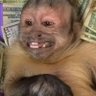 Daniel's profile picture