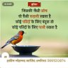 Arif Bhai 的头像