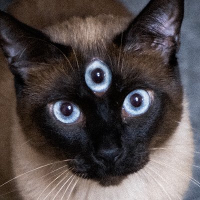 cryptid_bean's profile picture