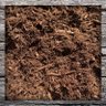 Mulch 的头像