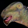 Nigersaurus profil fotoğrafı