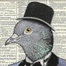 Dr. Birdelaire 🕊️'s profile picture
