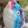 ko ke's profile picture