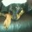 Profilbild von Jason