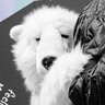 LIL’ BEAR's profile picture