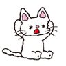 もこちゃ's profile picture