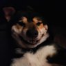 Profilbild von K!P