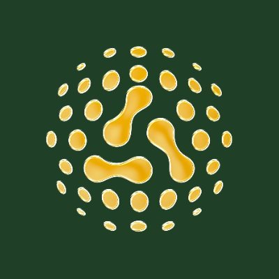 Aki Network's profile picture