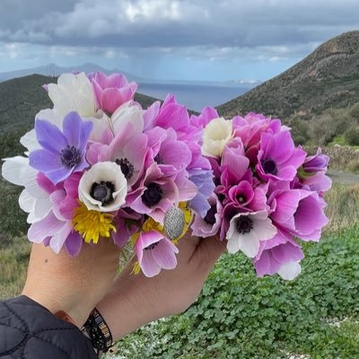 yazar_1 Ayşen's profile picture
