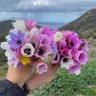 Profilbild von yazar_1 Ayşen