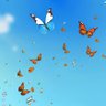 Cielo Azul profil fotoğrafı