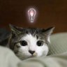 Blue Mind's profile picture