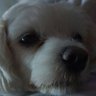 MIMI profil fotoğrafı