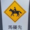 Фото профиля カンピロバスター