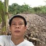 MoneyVN profil fotoğrafı