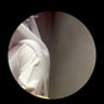 جنتل مان's profile picture