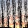 Фото профиля RobPerrio7500