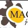 Magnolia profil fotoğrafı