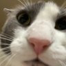 Soggy profil fotoğrafı
