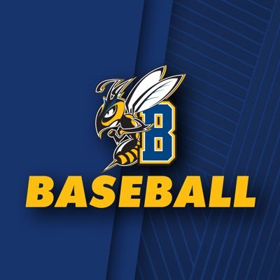 MSUBBaseball's profile picture