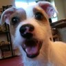 Profilbild von Biff