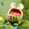 watermelontrader's profile picture