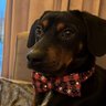 Profilbild von Pablo