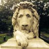 Фото профиля Harold Lunn