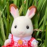 Фото профиля うさぎ