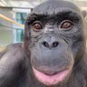 thug of uyo 🦍's profile picture