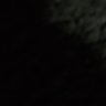 Profilbild von cryptoz