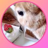 モモスケ🐇 profil fotoğrafı