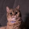Price's profile picture