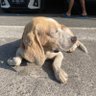 Odi profil fotoğrafı
